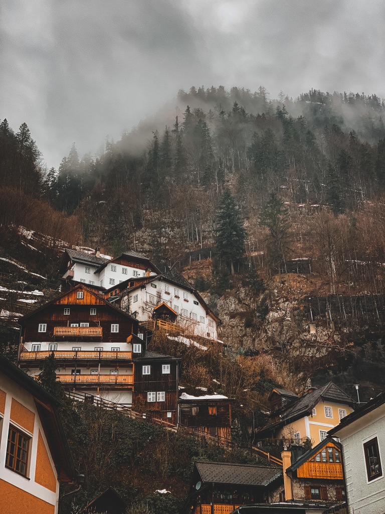 Austrian mountain homes on a foggy treed slope.